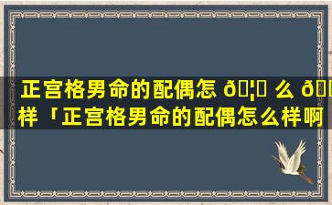 正宫格男命的配偶怎 🦊 么 🐼 样「正宫格男命的配偶怎么样啊」